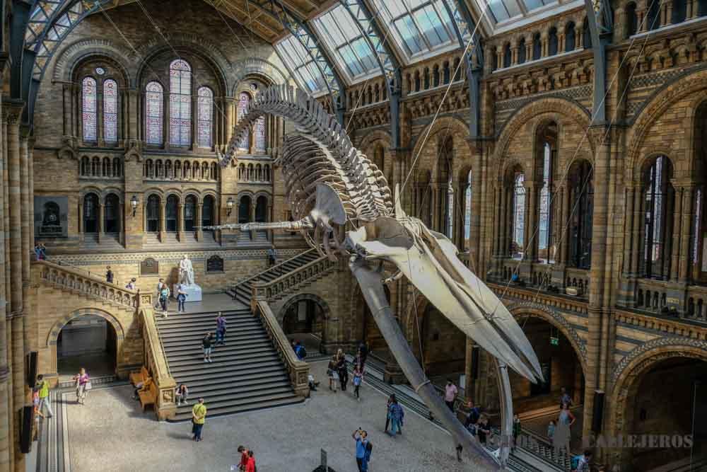 Museo de Historia Natural en el Londres en 5 días